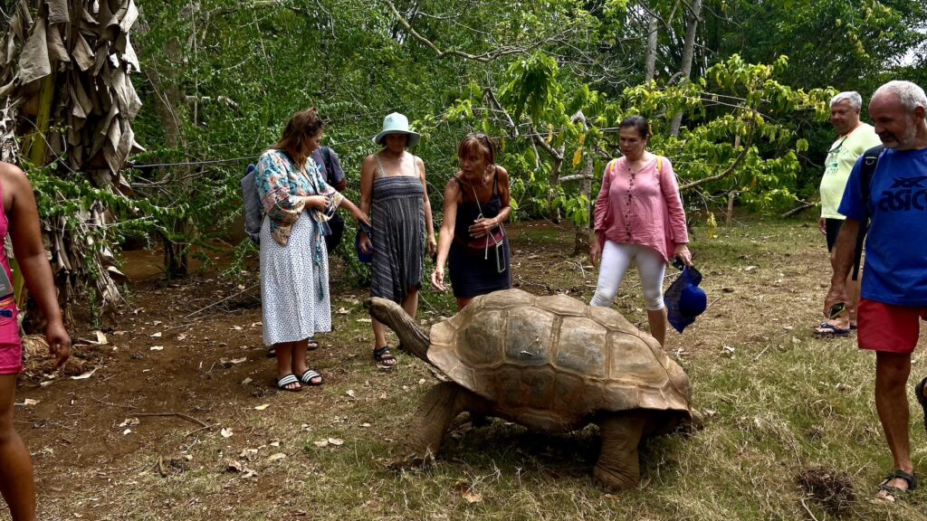 Madagaskar – Divoký sever a tropické ostrovy